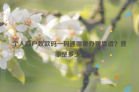 个人商户收款码一码通哪里办理靠谱？费率是多少？